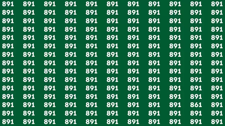 Défi cérébral d'observation : si vous avez des yeux d'aigle, trouvez le nombre 861 parmi 891 en 12 secondes.