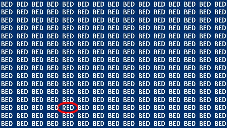 Testez l'acuité visuelle : si vous avez des yeux de faucon, trouvez le mot rouge parmi le lit en 16 secondes.