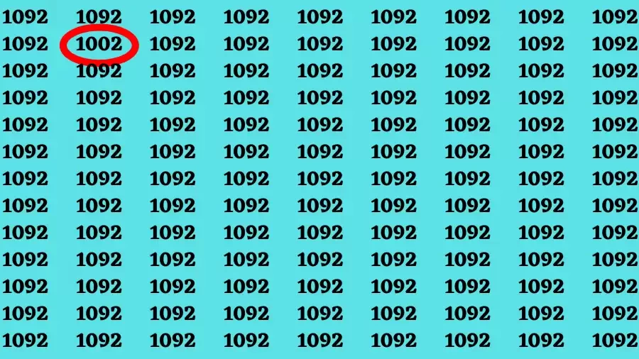 Observation Découvrez-le : Si vous avez des yeux perçants, trouvez le nombre 1002 en 12 secondes