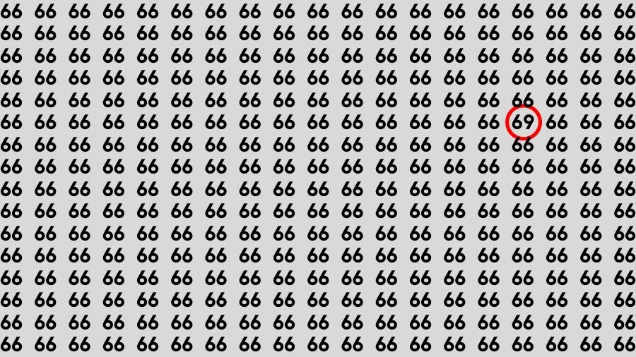 Observation Découvrez-le : Si vous avez des yeux d'aigle, trouvez le numéro 69 parmi 66 en 15 secondes.