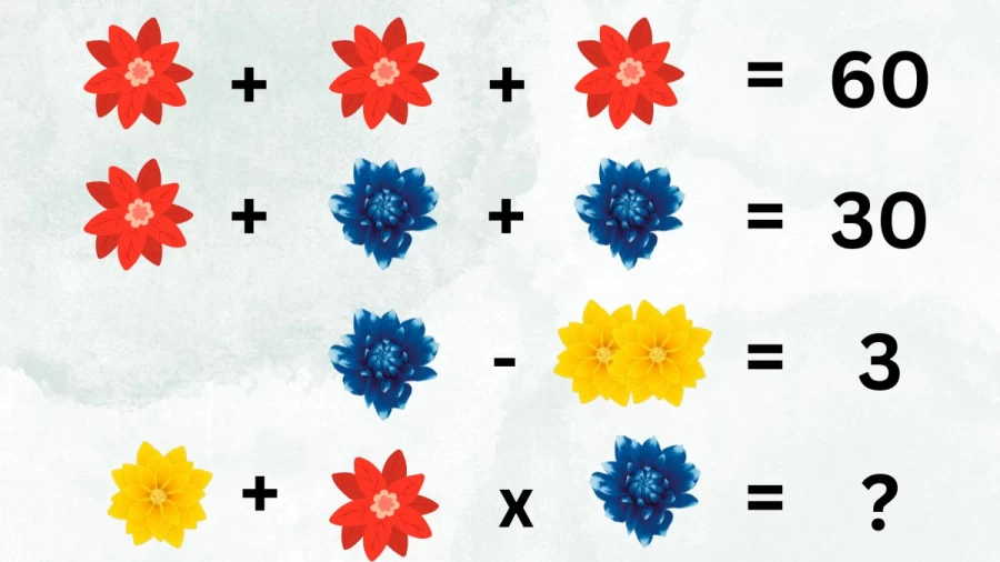 Casse-tête : pouvez-vous résoudre et trouver la valeur de chaque fleur ?